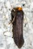 282771 – Photo : André Burgers – Espagne